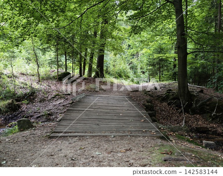 Wooden footbridge in lush green forest overlooked by dense canopy along quiet walking path through sunlit woods and rock formations, with wooden, bridge, forest, path detail Wooden footbridge in lush green forest overlooked by dense canopy along quiet walking path through sunlit woods and rock formations, with wooden, bridge, forest, path detail 142583144