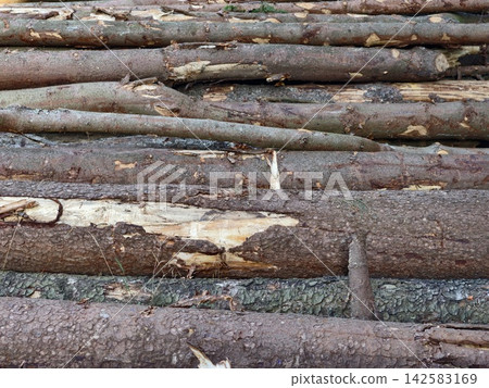 Stacked rough-barked tree logs in outdoor stack, with log, logs, timber, wood detail, showing bark, rough, textured, stack context, with clear visible detail, showing commercial visual context Stacked rough-barked tree logs in outdoor stack, with log, logs, timber, wood detail, showing bark, rough, textured, stack context, with clear visible detail, showing commercial visual context 142583169