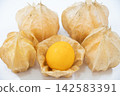 Edible Ground Cherry Goldenberry 142583391