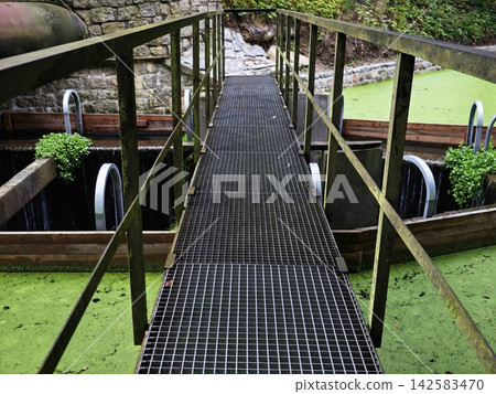 Metal grating footbridge over mossy canal with stone wall backdrop and green algae under lush ivy environment, with bridge, metal, grating, footbridge detail, showing walkway, canal, water, algae Metal grating footbridge over mossy canal with stone wall backdrop and green algae under lush ivy environment, with bridge, metal, grating, footbridge detail, showing walkway, canal, water, algae 142583470