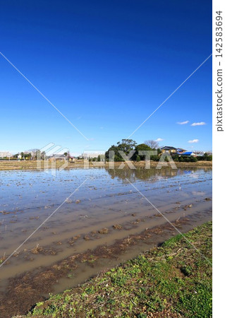 A rice paddy scene the morning after heavy winter rains. A rice paddy scene the morning after heavy winter rains. 142583694