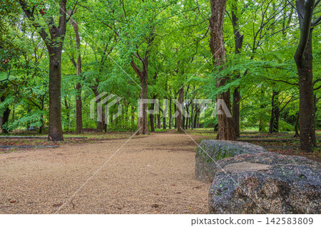 Osaka Castle Forest Landscape Osaka Castle Forest Landscape 142583809