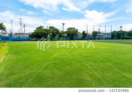 The grass at Kajima Construction's Shibasaki Ground, under a clear summer sky in Kikunodai, Chofu City, Tokyo. The grass at Kajima Construction's Shibasaki Ground, under a clear summer sky in Kikunodai, Chofu City, Tokyo. 142583966