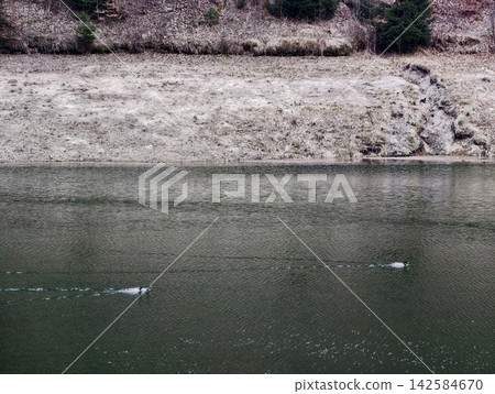 Serene lake with gentle ripples. Peaceful water surface reflected by soft waves and subdued colors Serene lake with gentle ripples. Peaceful water surface reflected by soft waves and subdued colors 142584670