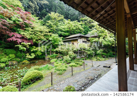 [Higashiomi City, Shiga Prefecture] Kongorinji Temple, Myojuin: Garden view from the veranda 142586174