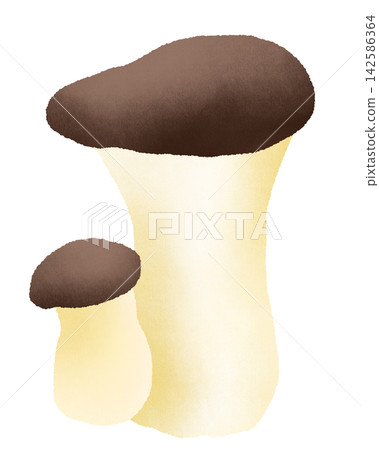 Elingi illustration Elingi illustration 142586364