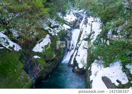 屋久島白谷雲水峽 - 極寒流水(冬季) 屋久島白谷雲水峽 - 極寒流水(冬季) 142586387