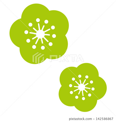 A simple illustration of two light green flowers. 142586867