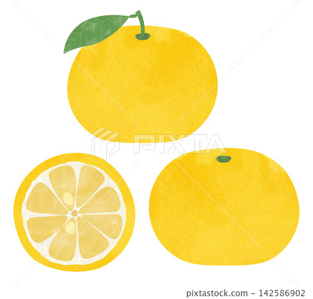 Illustration of Yuzu Illustration of Yuzu 142586902