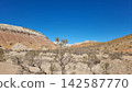 Beautiful Landscape Of The Desert 142587770