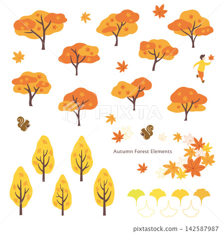 Autumn leaves and ginkgo leaves that adorn the forest in autumn Autumn leaves and ginkgo leaves that adorn the forest in autumn 142587987