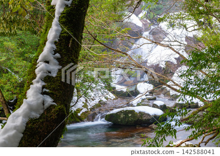 Yakushima Shiratani Unsuikyo Gorge: A Gorge of Extreme Cold (Winter) Yakushima Shiratani Unsuikyo Gorge: A Gorge of Extreme Cold (Winter) 142588041