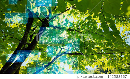 Lush young leaves and science and technology Lush young leaves and science and technology 142588567