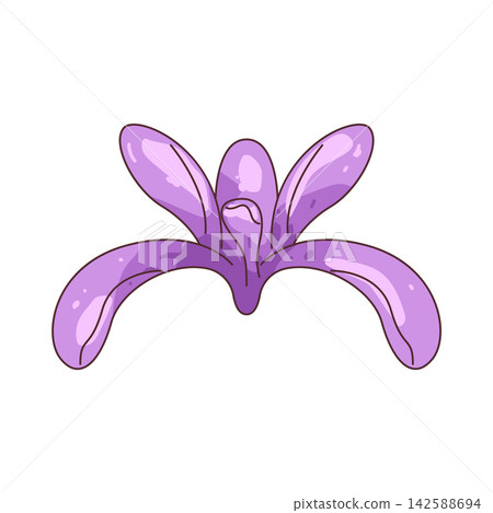Illustration of purple iris Illustration of purple iris 142588694