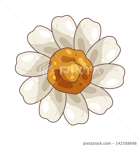 Illustration of daisy Illustration of daisy 142588696