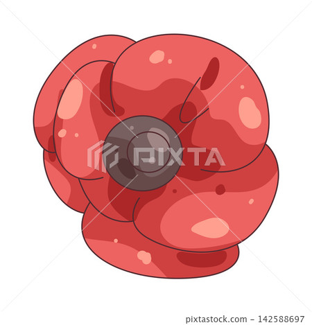 Illustration of red poppy Illustration of red poppy 142588697