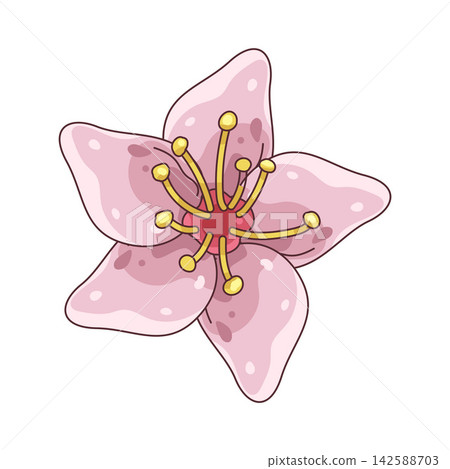 Illustration of cherry blossom 142588703