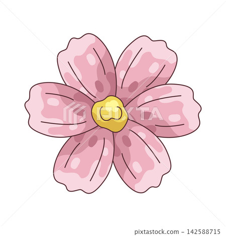 Illustration of pink cosmos Illustration of pink cosmos 142588715