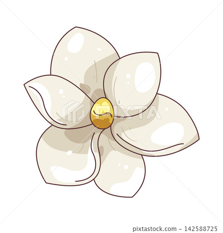Illustration of magnolia Illustration of magnolia 142588725