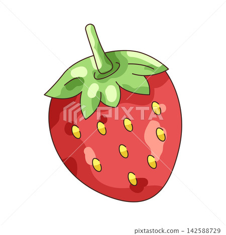 Illustration of strawberry Illustration of strawberry 142588729