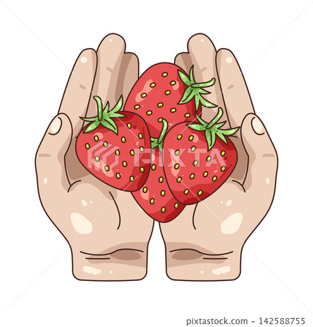 Illustration of strawberry 142588755