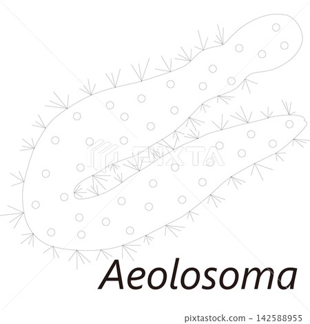 Aeolosoma (a type of earthworm), scientific name, microorganism, sewage, wastewater, research. Aeolosoma (a type of earthworm), scientific name, microorganism, sewage, wastewater, research. 142588955