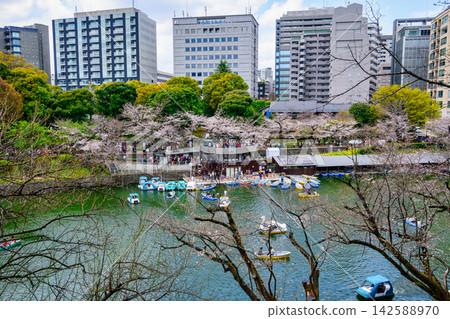 東京,千鳥淵,划船區,櫻花盛開,從北之丸公園眺望 東京,千鳥淵,划船區,櫻花盛開,從北之丸公園眺望 142588970