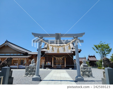 久喜市八坂神社的小鯉魚 久喜市八坂神社的小鯉魚 142589123