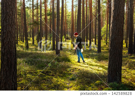 Man foraging and mushroom picking in a sunlit forest during the autumn harvest, enjoying outdoor activity and a sustainable lifestyle connected with nature. Man foraging and mushroom picking in a sunlit forest during the autumn harvest, enjoying outdoor activity and a sustainable lifestyle connected with nature. 142589828