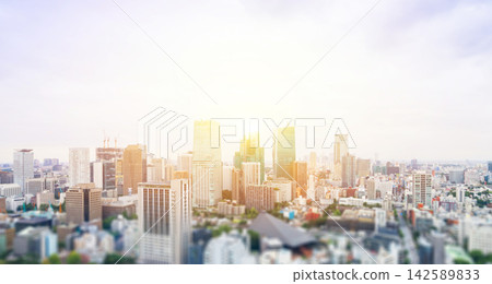 Aerial view of tokyo city skyline with skyscrapers and blurred foreground in Japan, miniature tilt shift effect Aerial view of tokyo city skyline with skyscrapers and blurred foreground in Japan, miniature tilt shift effect 142589833