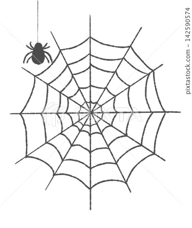 Spider web and spider Spider web and spider 142590574