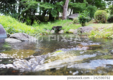 An artificial stream flowing through Shurakuen in Tsuyama City, Okayama Prefecture. An artificial stream flowing through Shurakuen in Tsuyama City, Okayama Prefecture. 142590782