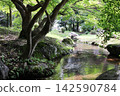 流經岡山縣津山市修樂園的人工溪水。 142590784