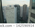 From the Tokyo Metropolitan Government Building observation deck 142590914