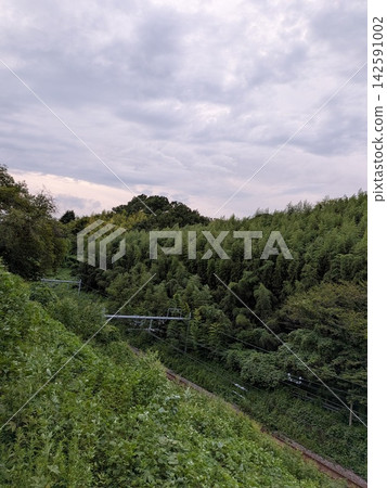 鄉村景色,山丘上覆蓋著竹林,還有鐵路軌道。 鄉村景色,山丘上覆蓋著竹林,還有鐵路軌道。 142591002