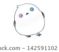 Shima 142591102