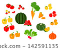 Red, orange, and yellow vegetables 142591135