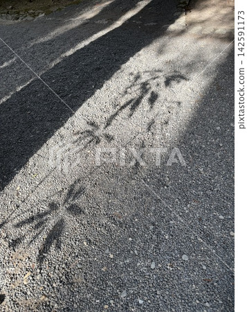 Shadows cast on the road surface Shadows cast on the road surface 142591173