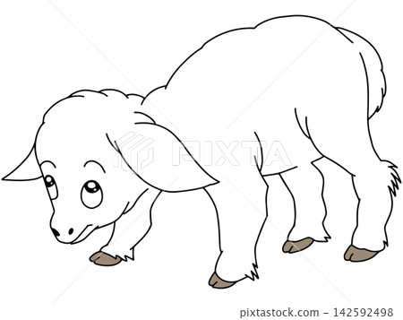 手繪動物插畫☆綿羊 手繪動物插畫☆綿羊 142592498