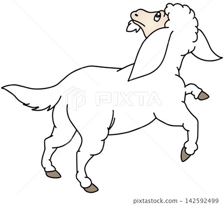 手繪動物插畫☆綿羊 手繪動物插畫☆綿羊 142592499