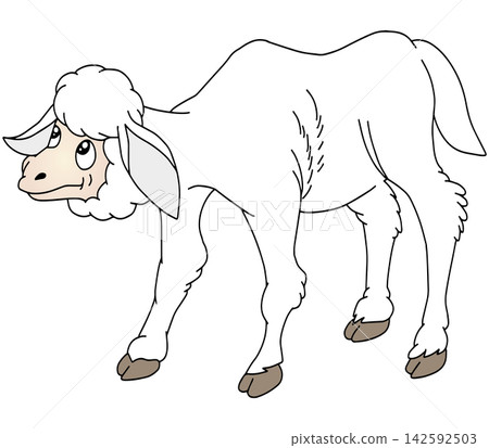 手繪動物插畫☆綿羊 手繪動物插畫☆綿羊 142592503