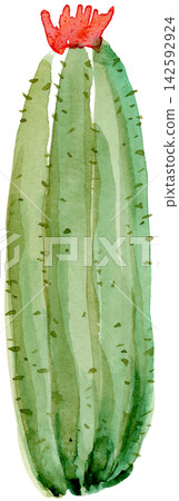 Watercolor One Cactus Red Flower Hand Painted Watercolor One Cactus Red Flower Hand Painted 142592924
