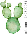 Watercolor Cactus Green Bunny Ears Hand Painted 142592931