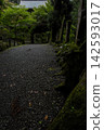 A moss-covered path at Daiyuzan Saijoji Temple, Doryoson Sanmon Gate 142593017