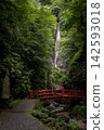 Shasui Falls, a waterfall flowing through the forest 142593018
