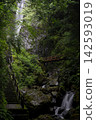 Shasui Falls, a waterfall flowing through the forest 142593019