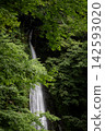 Shasui Falls, a waterfall flowing through the forest 142593020