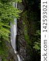 Shasui Falls, a waterfall flowing through the forest 142593021