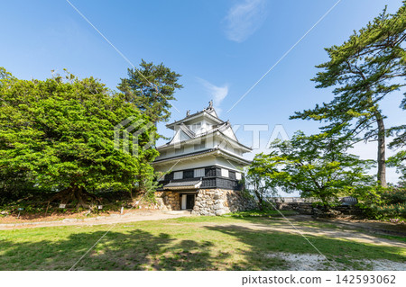 愛知縣豐橋市的吉田城（鐵塔）和鬱鬱蔥蔥的樹木 142593062