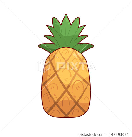 Illustration of Pineapple Illustration of Pineapple 142593085